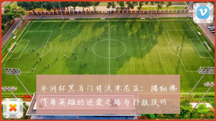 非洲杯黑马门将沃津尼亚：揭秘佛得角英雄的逆袭之路与扑救技巧