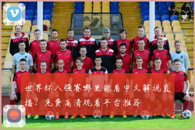 世界杯八强赛哪里能看中文解说直播？免费高清观看平台推荐