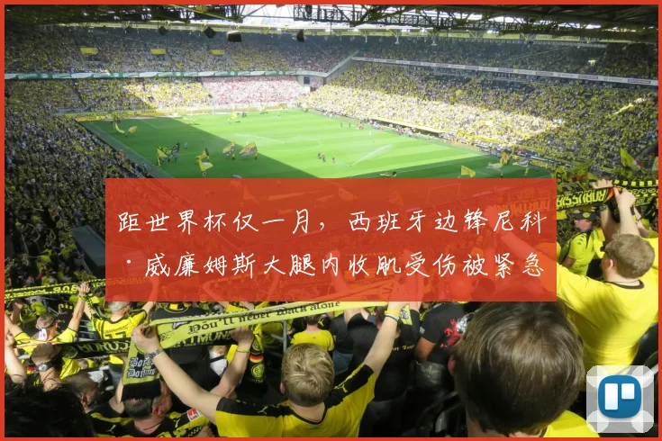 距世界杯仅一月，西班牙边锋尼科·威廉姆斯大腿内收肌受伤被紧急换下