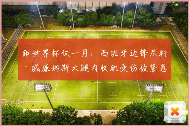 距世界杯仅一月，西班牙边锋尼科·威廉姆斯大腿内收肌受伤被紧急换下